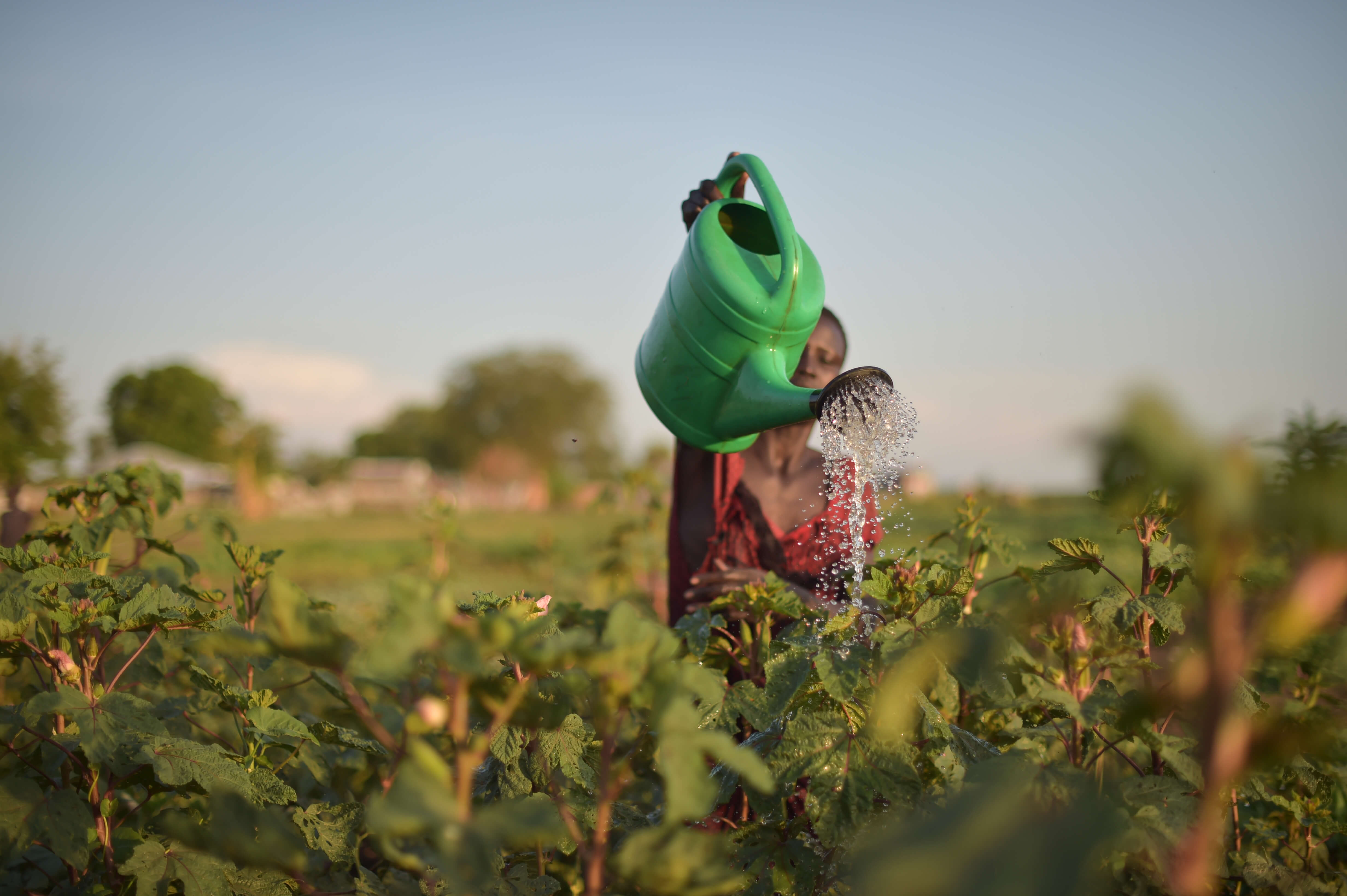 Business Opportunities in South Sudan | Investment & Growth Guide | Omnisage Group